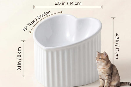 Ceramic Raised Cat Bowls, Tilted Elevated Food or Water Bowls, Stress Free, Backflow Prevention, Dishwasher and Microwave Safe, Lead & Cadmium Free